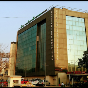 Healing Tree Hospital